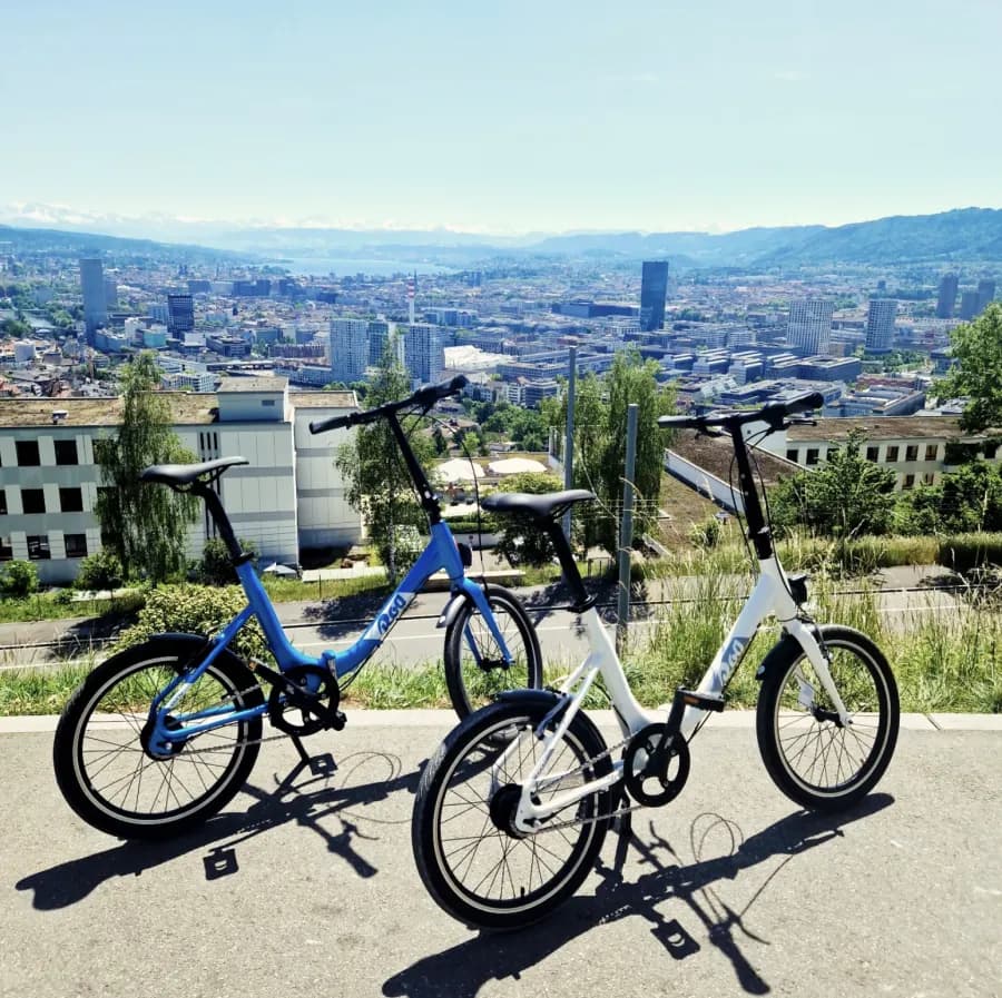 Zwei Ponys in Blau und Weiss über den Dächern von Zürich